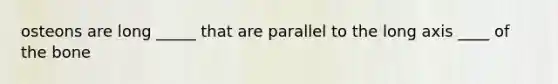 osteons are long _____ that are parallel to the long axis ____ of the bone