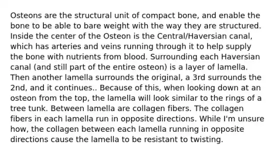 Osteons are the structural unit of compact bone, and enable the bone to be able to bare weight with the way they are structured. Inside the center of the Osteon is the Central/Haversian canal, which has arteries and veins running through it to help supply the bone with nutrients from blood. Surrounding each Haversian canal (and still part of the entire osteon) is a layer of lamella. Then another lamella surrounds the original, a 3rd surrounds the 2nd, and it continues.. Because of this, when looking down at an osteon from the top, the lamella will look similar to the rings of a tree tunk. Between lamella are collagen fibers. The collagen fibers in each lamella run in opposite directions. While I'm unsure how, the collagen between each lamella running in opposite directions cause the lamella to be resistant to twisting.