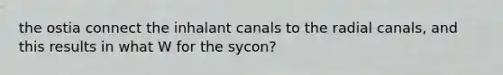 the ostia connect the inhalant canals to the radial canals, and this results in what W for the sycon?