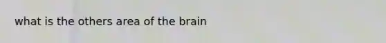 what is the others area of the brain