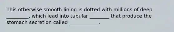 This otherwise smooth lining is dotted with millions of deep _________, which lead into tubular ________ that produce the stomach secretion called ____________.