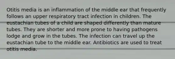 Otitis media is an inflammation of the middle ear that frequently follows an upper respiratory tract infection in children. The eustachian tubes of a child are shaped differently than mature tubes. They are shorter and more prone to having pathogens lodge and grow in the tubes. The infection can travel up the eustachian tube to the middle ear. Antibiotics are used to treat otitis media.