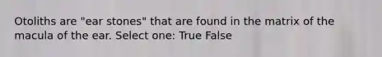 Otoliths are "ear stones" that are found in the matrix of the macula of the ear. Select one: True False