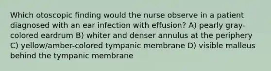 Which otoscopic finding would the nurse observe in a patient diagnosed with an ear infection with effusion? A) pearly gray-colored eardrum B) whiter and denser annulus at the periphery C) yellow/amber-colored tympanic membrane D) visible malleus behind the tympanic membrane