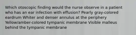 Which otoscopic finding would the nurse observe in a patient who has an ear infection with effusion? Pearly gray-colored eardrum Whiter and denser annulus at the periphery Yellow/amber-colored tympanic membrane Visible malleus behind the tympanic membrane