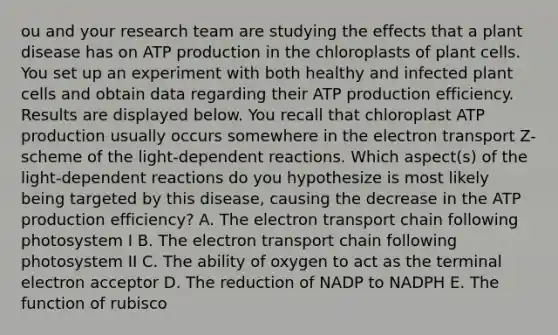 ou and your research team are studying the effects that a plant disease has on ATP production in the chloroplasts of plant cells. You set up an experiment with both healthy and infected plant cells and obtain data regarding their ATP production efficiency. Results are displayed below. You recall that chloroplast ATP production usually occurs somewhere in the electron transport Z- scheme of the light-dependent reactions. Which aspect(s) of the light-dependent reactions do you hypothesize is most likely being targeted by this disease, causing the decrease in the ATP production efficiency? A. The electron transport chain following photosystem I B. The electron transport chain following photosystem II C. The ability of oxygen to act as the terminal electron acceptor D. The reduction of NADP to NADPH E. The function of rubisco