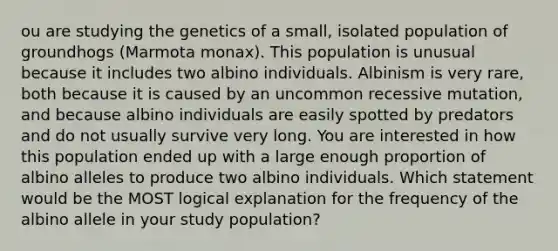 ou are studying the genetics of a small, isolated population of groundhogs (Marmota monax). This population is unusual because it includes two albino individuals. Albinism is very rare, both because it is caused by an uncommon recessive mutation, and because albino individuals are easily spotted by predators and do not usually survive very long. You are interested in how this population ended up with a large enough proportion of albino alleles to produce two albino individuals. Which statement would be the MOST logical explanation for the frequency of the albino allele in your study population?