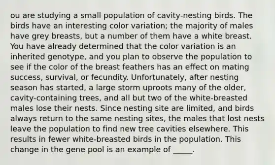 ou are studying a small population of cavity-nesting birds. The birds have an interesting color variation; the majority of males have grey breasts, but a number of them have a white breast. You have already determined that the color variation is an inherited genotype, and you plan to observe the population to see if the color of the breast feathers has an effect on mating success, survival, or fecundity. Unfortunately, after nesting season has started, a large storm uproots many of the older, cavity-containing trees, and all but two of the white-breasted males lose their nests. Since nesting site are limited, and birds always return to the same nesting sites, the males that lost nests leave the population to find new tree cavities elsewhere. This results in fewer white-breasted birds in the population. This change in the gene pool is an example of _____.