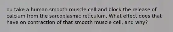 ou take a human smooth muscle cell and block the release of calcium from the sarcoplasmic reticulum. What effect does that have on contraction of that smooth muscle cell, and why?