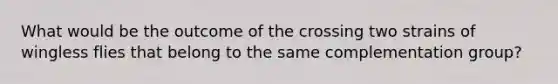 What would be the outcome of the crossing two strains of wingless flies that belong to the same complementation group?