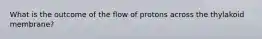 What is the outcome of the flow of protons across the thylakoid membrane?