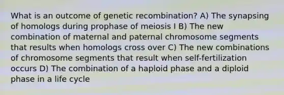 What is an outcome of genetic recombination? A) The synapsing of homologs during prophase of meiosis I B) The new combination of maternal and paternal chromosome segments that results when homologs cross over C) The new combinations of chromosome segments that result when self-fertilization occurs D) The combination of a haploid phase and a diploid phase in a life cycle