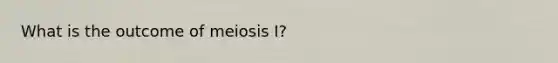 What is the outcome of meiosis I?