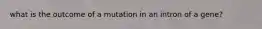 what is the outcome of a mutation in an intron of a gene?