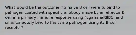 What would be the outcome if a naive B cell were to bind to pathogen coated with specific antibody made by an effector B cell in a primary immune response using FcgammaRIIB1, and simultaneously bind to the same pathogen using its B-cell receptor?