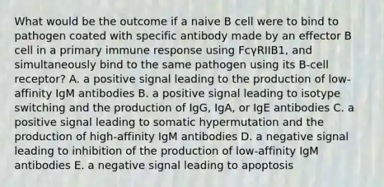 What would be the outcome if a naive B cell were to bind to pathogen coated with specific antibody made by an effector B cell in a primary immune response using FcγRIIB1, and simultaneously bind to the same pathogen using its B-cell receptor? A. a positive signal leading to the production of low-affinity IgM antibodies B. a positive signal leading to isotype switching and the production of IgG, IgA, or IgE antibodies C. a positive signal leading to somatic hypermutation and the production of high-affinity IgM antibodies D. a negative signal leading to inhibition of the production of low-affinity IgM antibodies E. a negative signal leading to apoptosis