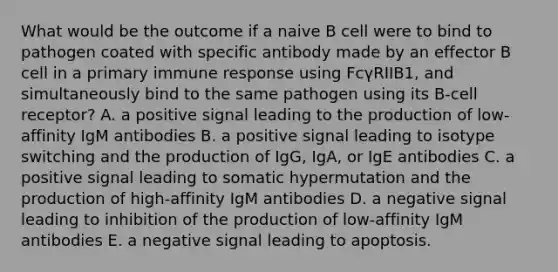 What would be the outcome if a naive B cell were to bind to pathogen coated with specific antibody made by an effector B cell in a primary immune response using FcγRIIB1, and simultaneously bind to the same pathogen using its B-cell receptor? A. a positive signal leading to the production of low-affinity IgM antibodies B. a positive signal leading to isotype switching and the production of IgG, IgA, or IgE antibodies C. a positive signal leading to somatic hypermutation and the production of high-affinity IgM antibodies D. a negative signal leading to inhibition of the production of low-affinity IgM antibodies E. a negative signal leading to apoptosis.