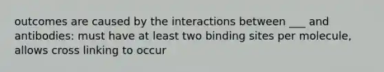 outcomes are caused by the interactions between ___ and antibodies: must have at least two binding sites per molecule, allows cross linking to occur