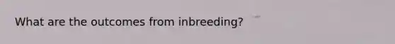 What are the outcomes from inbreeding?