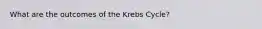 What are the outcomes of the Krebs Cycle?