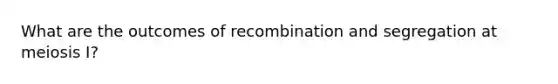 What are the outcomes of recombination and segregation at meiosis I?