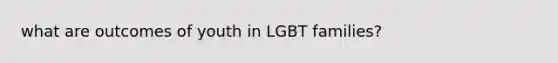 what are outcomes of youth in LGBT families?