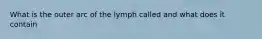 What is the outer arc of the lymph called and what does it contain