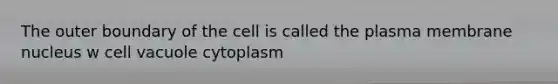 The outer boundary of the cell is called the plasma membrane nucleus w cell vacuole cytoplasm