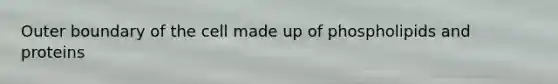 Outer boundary of the cell made up of phospholipids and proteins
