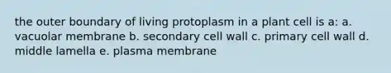 the outer boundary of living protoplasm in a plant cell is a: a. vacuolar membrane b. secondary cell wall c. primary cell wall d. middle lamella e. plasma membrane