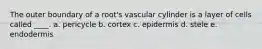 The outer boundary of a root's vascular cylinder is a layer of cells called ____. a. ​pericycle b. ​cortex c. ​epidermis d. ​stele e. ​endodermis