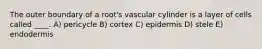 The outer boundary of a root's vascular cylinder is a layer of cells called ____. A) pericycle B) cortex C) epidermis D) stele E) endodermis