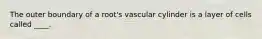 The outer boundary of a root's vascular cylinder is a layer of cells called ____.