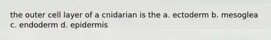 the outer cell layer of a cnidarian is the a. ectoderm b. mesoglea c. endoderm d. epidermis