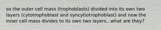 so the outer cell mass (trophoblasts) divided into its own two layers (cytotrophoblast and syncytiotrophoblast) and now the inner cell mass divides to its own two layers...what are they?