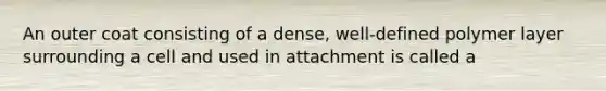 An outer coat consisting of a dense, well-defined polymer layer surrounding a cell and used in attachment is called a