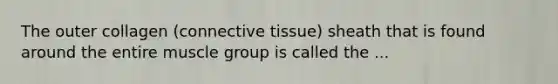 The outer collagen (connective tissue) sheath that is found around the entire muscle group is called the ...