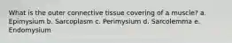 What is the outer connective tissue covering of a muscle? a. Epimysium b. Sarcoplasm c. Perimysium d. Sarcolemma e. Endomysium