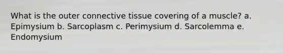 What is the outer connective tissue covering of a muscle? a. Epimysium b. Sarcoplasm c. Perimysium d. Sarcolemma e. Endomysium