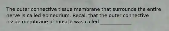 The outer <a href='https://www.questionai.com/knowledge/kYDr0DHyc8-connective-tissue' class='anchor-knowledge'>connective tissue</a> membrane that surrounds the entire nerve is called epineurium. Recall that the outer connective tissue membrane of muscle was called _____________.