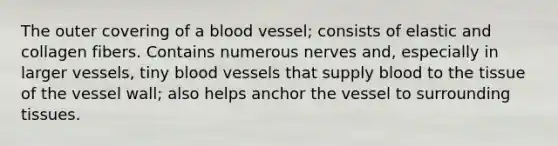 The outer covering of a blood vessel; consists of elastic and collagen fibers. Contains numerous nerves and, especially in larger vessels, tiny blood vessels that supply blood to the tissue of the vessel wall; also helps anchor the vessel to surrounding tissues.