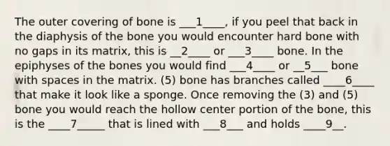 The outer covering of bone is ___1____, if you peel that back in the diaphysis of the bone you would encounter hard bone with no gaps in its matrix, this is __2____ or ___3____ bone. In the epiphyses of the bones you would find ___4____ or __5___ bone with spaces in the matrix. (5) bone has branches called ____6____ that make it look like a sponge. Once removing the (3) and (5) bone you would reach the hollow center portion of the bone, this is the ____7_____ that is lined with ___8___ and holds ____9__.