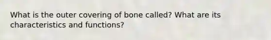 What is the outer covering of bone called? What are its characteristics and functions?