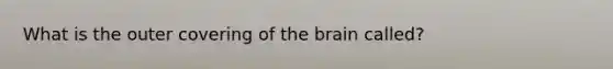 What is the outer covering of the brain called?