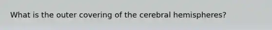 What is the outer covering of the cerebral hemispheres?