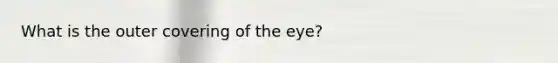 What is the outer covering of the eye?