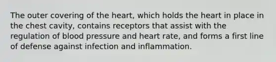 The outer covering of the heart, which holds the heart in place in the chest cavity, contains receptors that assist with the regulation of blood pressure and heart rate, and forms a first line of defense against infection and inflammation.