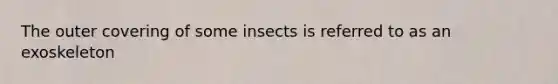 The outer covering of some insects is referred to as an exoskeleton