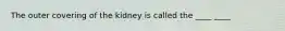 The outer covering of the kidney is called the ____ ____