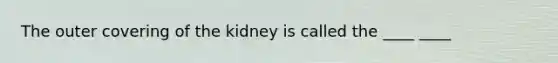 The outer covering of the kidney is called the ____ ____